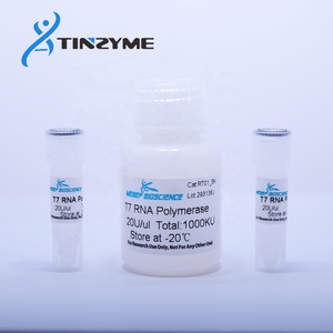 Tinzyme <strong>T7</strong> High Yield RNA Transcription Kit Using <strong>T7</strong> RNA <strong>Polymerase</strong> - Product Image 2