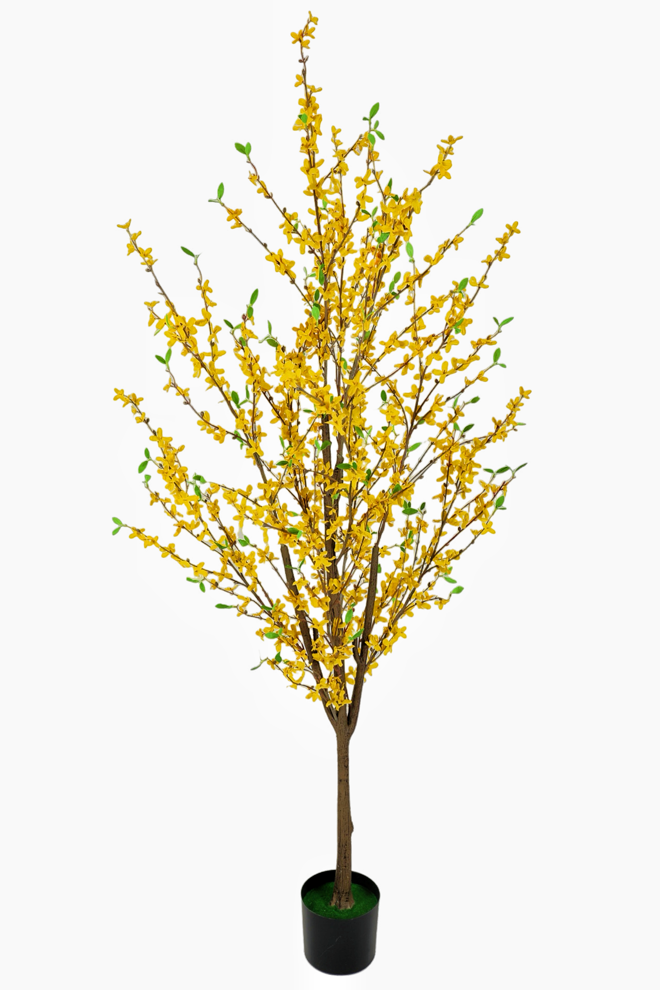 Amarillo