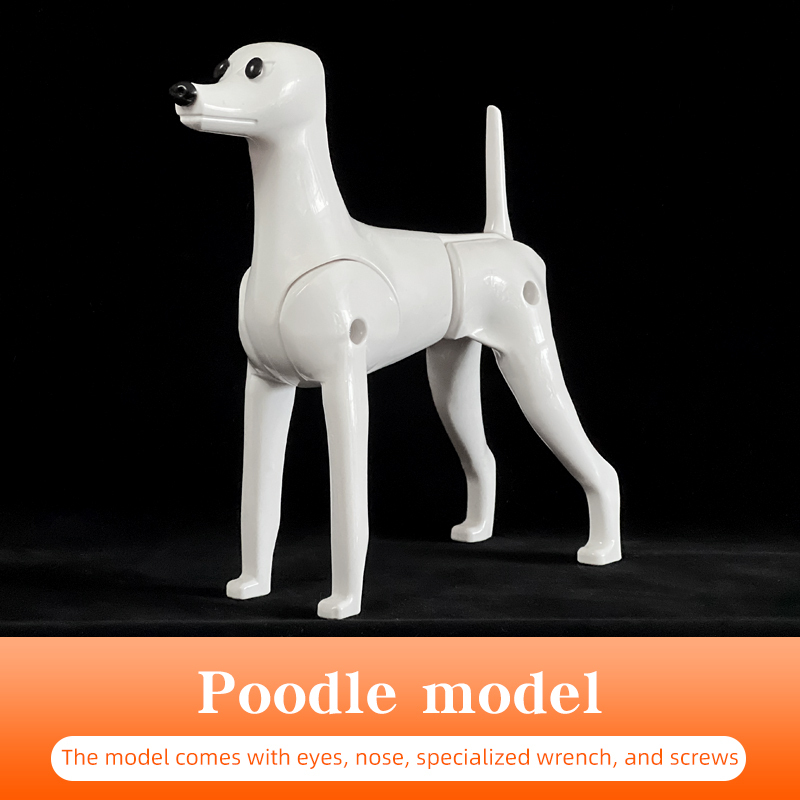 White Poodle Model