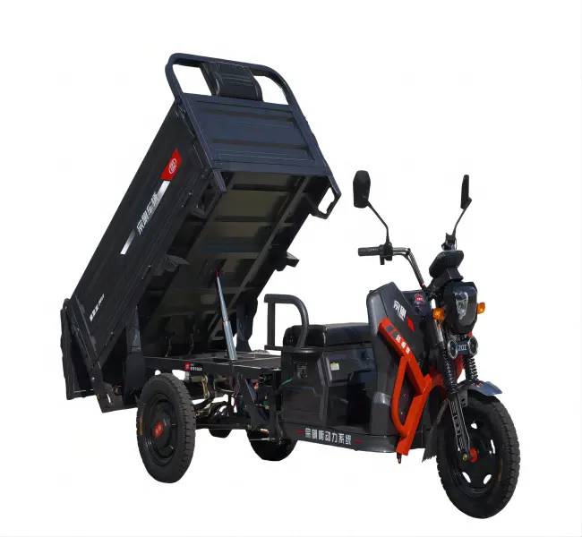 Entrega de 3 ruedas, 1200W, precio barato, Motor de cubo de 2 asientos, carga pesada, motocicleta de carga, potente triciclo eléctrico recargable para adultos