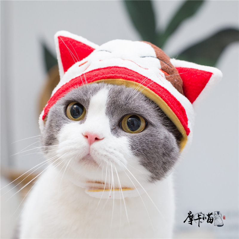 lucky hat
