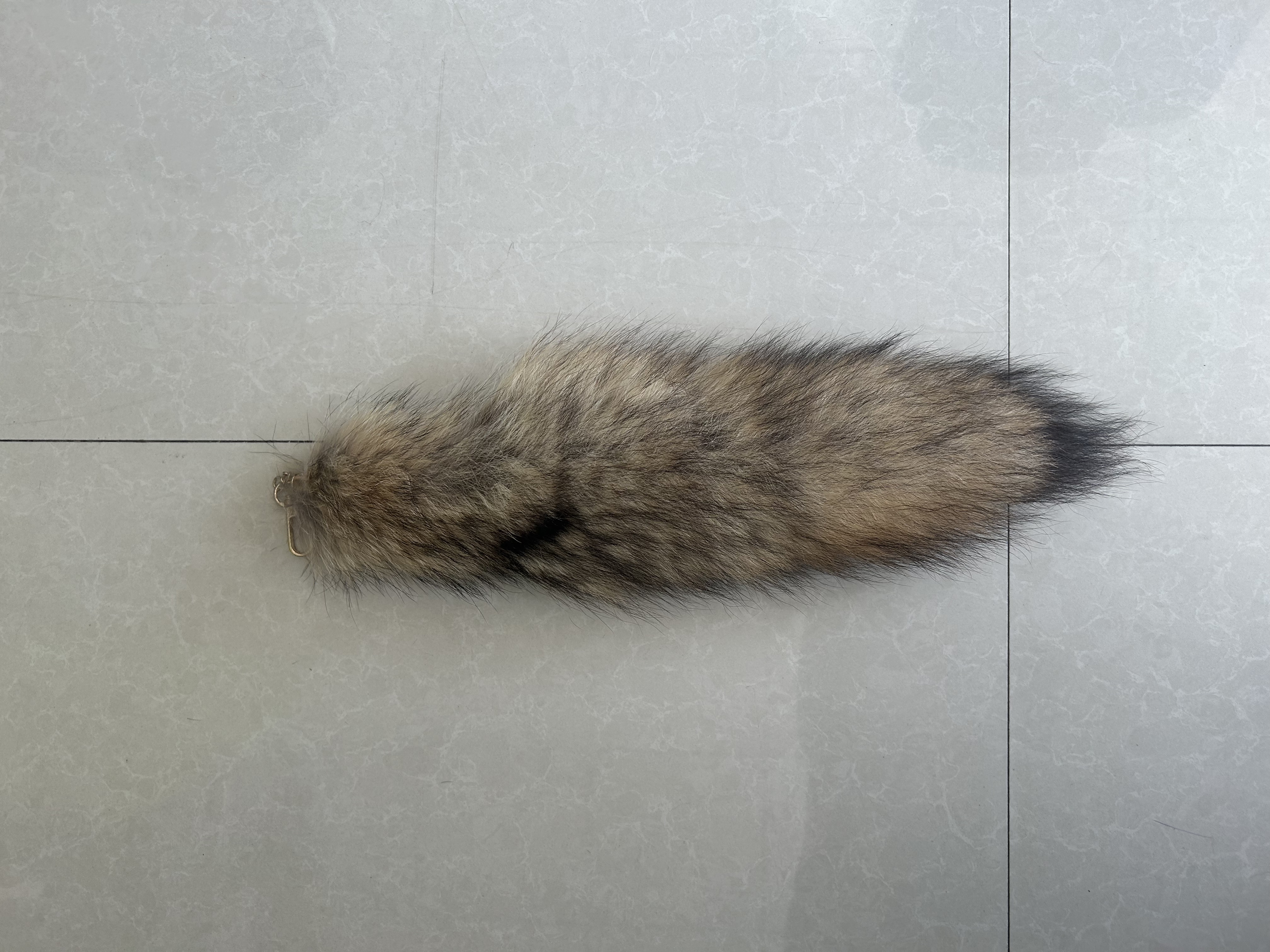 Kaki