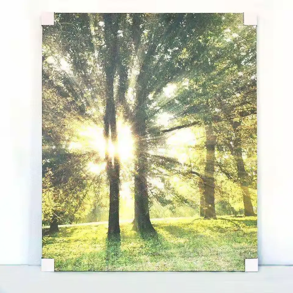 Arte moderna de parede Sunshine através da floresta pintura de parede imagens impressão em tela com moldura interna paisagem