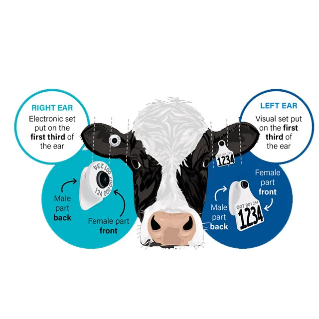Çin Delake fabrika verilen özel baskılı sığır etiketi küpe tek parça kulak etiketleri satılık yeni zelanda