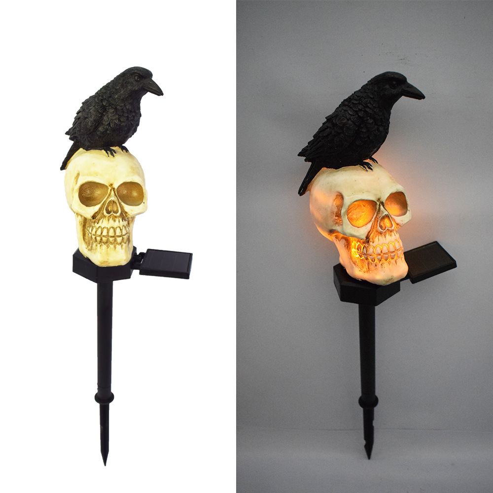 Crow skull head (front view)
