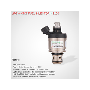 New Technology Injector Assembly Part Natural Material LPG Injector Conversion <strong>Kit</strong> H2200 LPG/ CNG Injector - Product Image 4