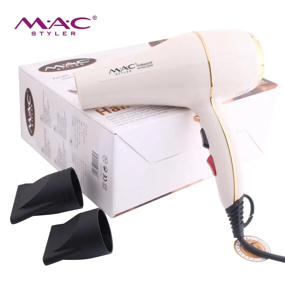 High Efficiency Private Label BlowドライヤーHousehold Professional Barber Salon Home Factory Blower Hair Dryer