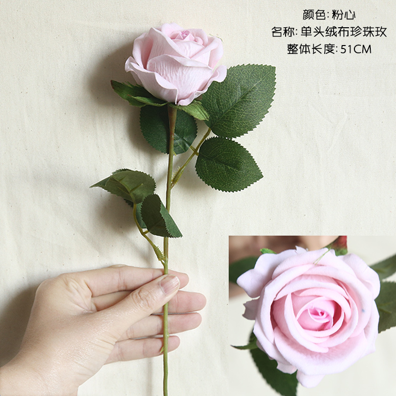 Rosa