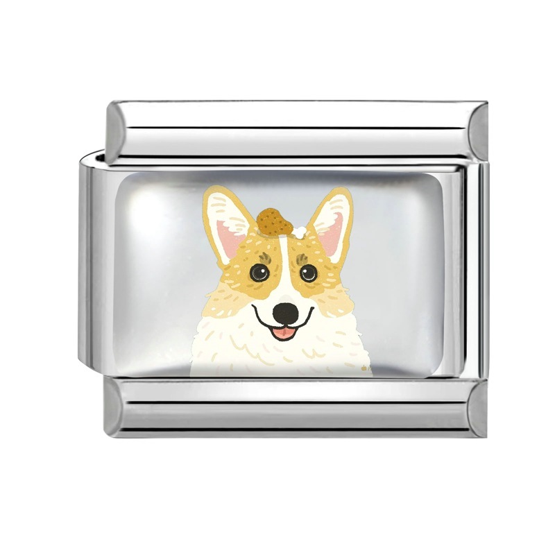 Pet-5