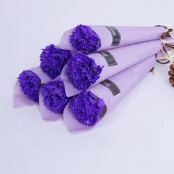 oeillet violet
