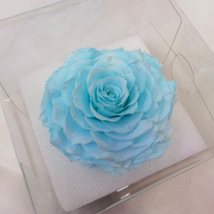 Light nylon blue