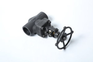 DN15-DN50 forged A105 <strong>800</strong> pound internal thread socket welded forged <strong>globe</strong> <strong>valve</strong>