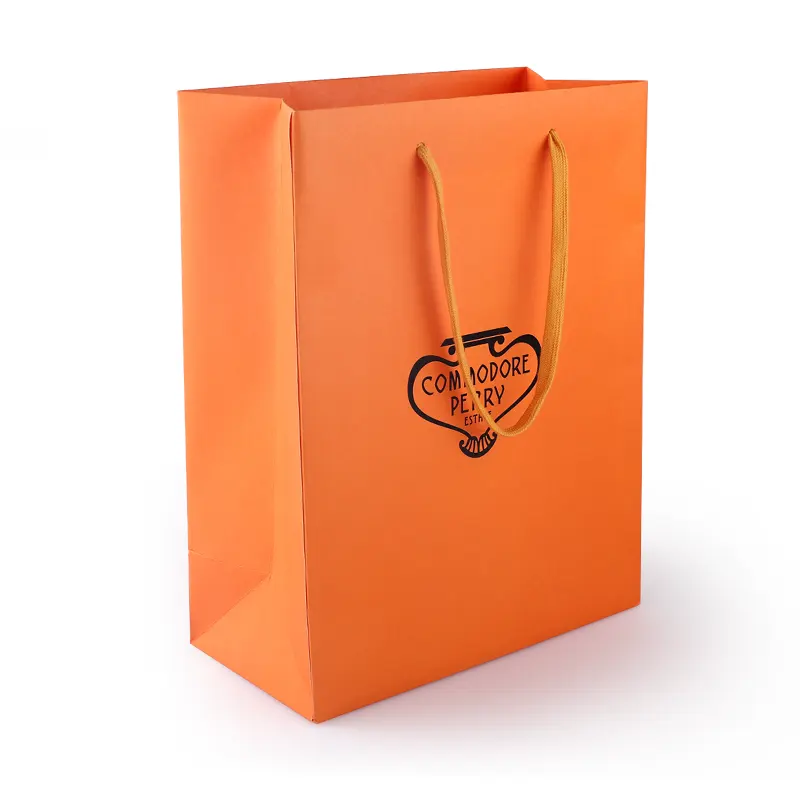 Bolsas de papel de regalo ecológicas de lujo, embalaje con logotipo impreso, paquete de pelo, marca de alta calidad, empresa