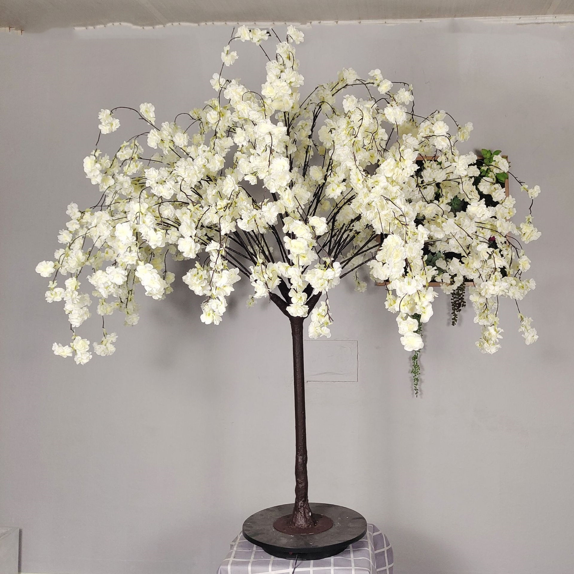 tree 1.5m