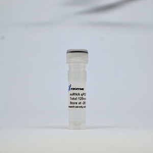 Tinzyme MiRNA QPCR test kiti, belirli etiketli probları sentezlemeye gerek kalmadan farklı hedef dizileri tespit ediyor. - Product Image 1