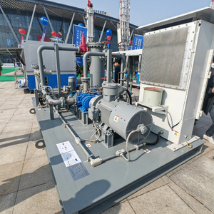 Profession elles Design Durchfluss Erdgas kolben kompressor Maschinen <span class=keywords><strong>CNG</strong></span> Einlass 30Bar Entladung 250Bar Kern motor - Product Image 5