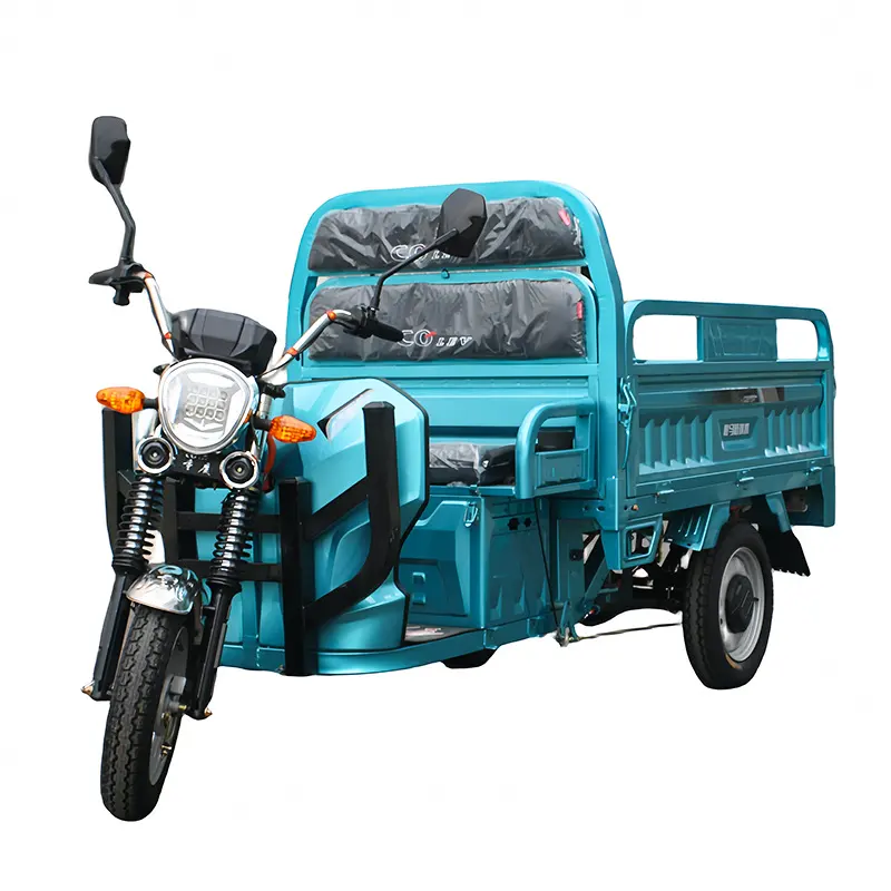 中国からの貨物用電動三輪車オートバイ3輪LantaDe Bajaj Mototaxi 400.8 De La Indiaゴールドアンティークフレーム11 X 14