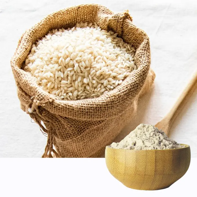Fabricant ISO/HALAL Poudre de protéine de riz végétalien biologique en usine Poudre de protéine de riz brun Protéine de riz hydrolysée