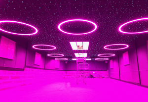 DMX控制多色变色发光二极管吸顶灯装饰RGB RGBW餐厅圆形吊灯