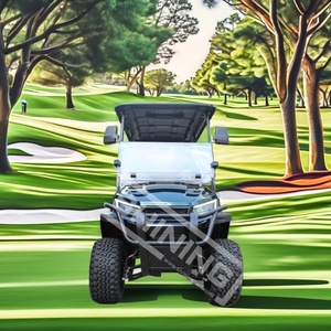 Shininglsv זוהר האופנה החם האחרון 4 מושבים יכול להתאים אישית חשמלי עגלה גולף