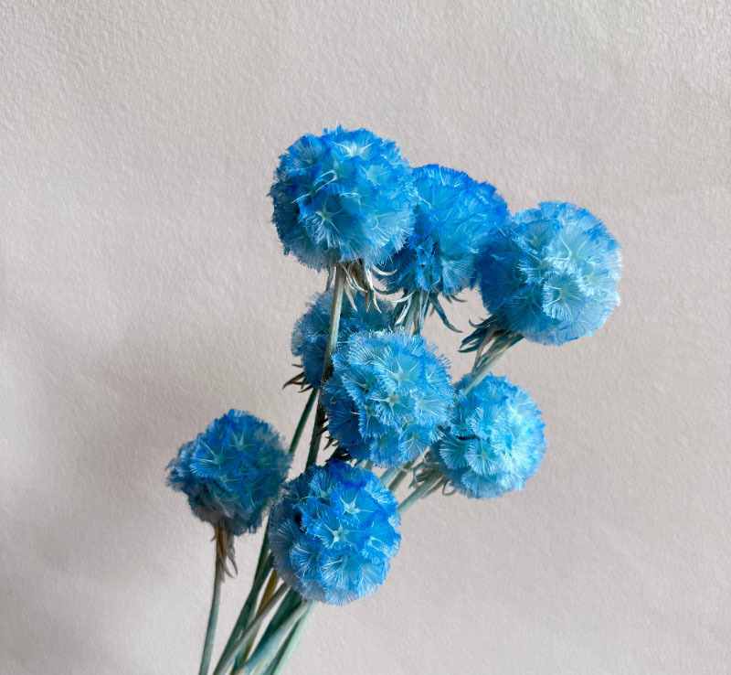 สีฟ้า