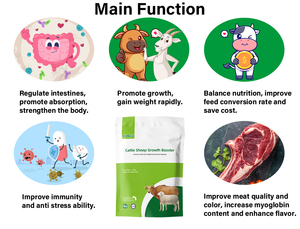 Meilleure vente dans le monde Bovins moutons Gain de poids Compléments nutritionnels Additifs alimentaires pour le bétail - Product Image 3
