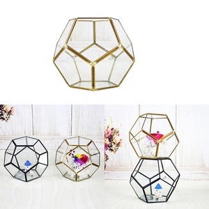 Hồ Cạn Khối Lập Phương Được Thiết Kế Đẹp Mắt Cho Cây Trồng - Product Image 6