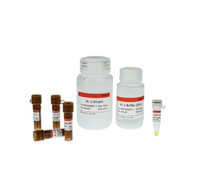 Geliştirilmiş JC-1 test kiti (100x6-Well plakaları)-canlı hücre membranı potansiyel izleme için kararlı boya - Product Image 4