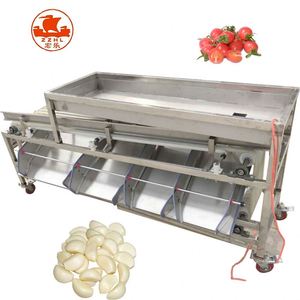Automatisches Date-Größen-Sortierförderband System Passionsobst Traube Tomaten Kartoffel-Sortiermaschine Sortiermaschine - Product Image 2