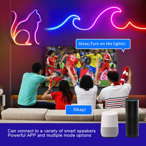 RGB renk değişimi ile Neon koşu ışık şeridi, açık su geçirmez ortam ışığı, renk değiştiren LED ışık ışık şeridi - Product Image 4