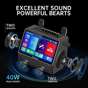 Karaoke Machine with <strong>Lyrics</strong> Display Screen for Adults, Portable Bluetooth Speaker with 2 Rechargeable UHF Mics