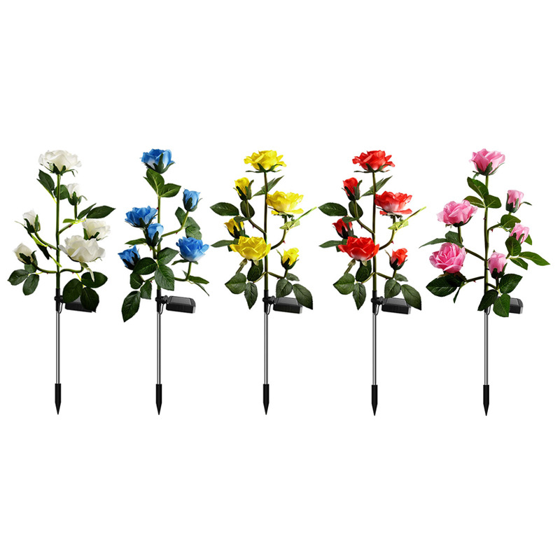 6 roses