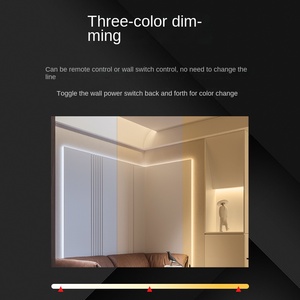Intelligent Two-Color <strong>LED</strong> Light Bar 2835 Two-In-One Three-COLOR CCT2 Line Dimming 8mm Wide PCB IP65 for <strong>E</strong>-commerce Explosions