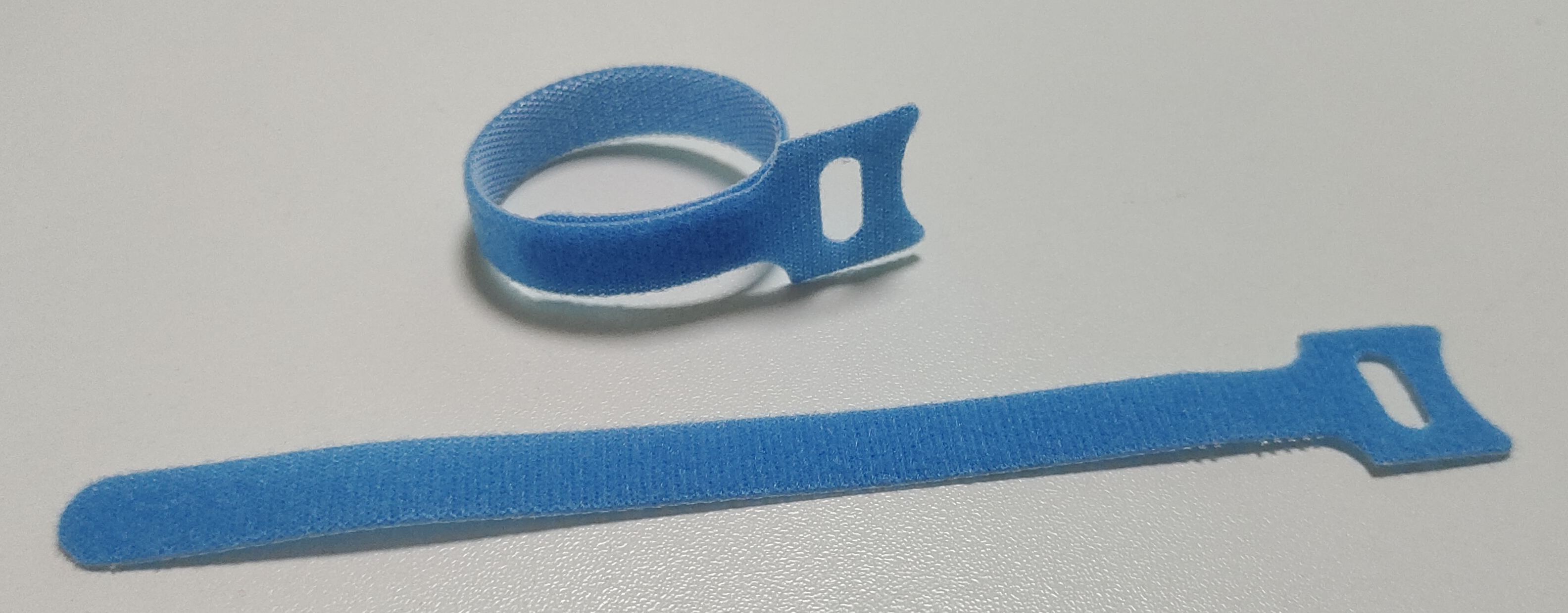 Type de chat Bleu
