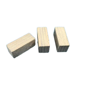 Factory Direct Sales Tool Parts Diamond Segment Cutting Diamond Segments for Hard Granite