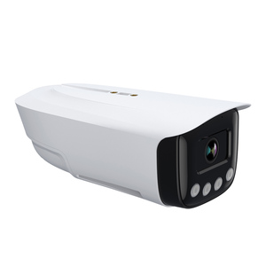 Cámara Ip de reconocimiento facial, dispositivo de detección facial biométrica, Sdk, Ip, ai
