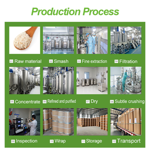 Oem bổ sung turkesterone 2% 10% bột ajuga chiết xuất - Product Image 6