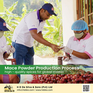 Bulk Bio Ceylon Mace Pulver 5kg & 25kg Großhandel Packs, Premium Sri Lanka Spice - Product Image 6