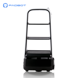 Padbot автономный робот для предотвращения коммерческих доставок - Product Image 3