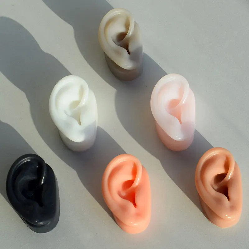 3D Emulational oreja nariz modelos silicona ciencia médica acupuntura práctica órgano oreja modelo nariz cosméticos limpieza estudio herramienta