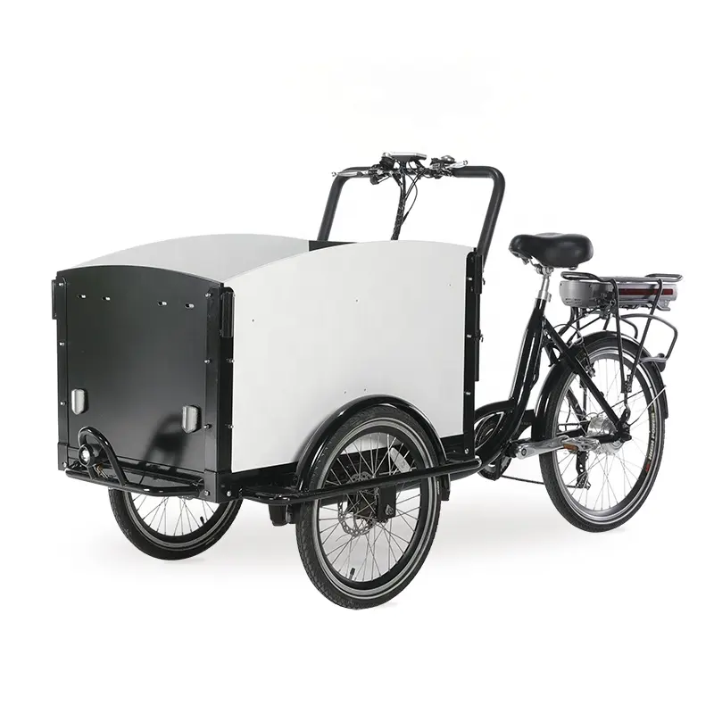 Triciclo elettrico per bici da carico a 3 ruote con telaio in acciaio triciclo elettrico lasten