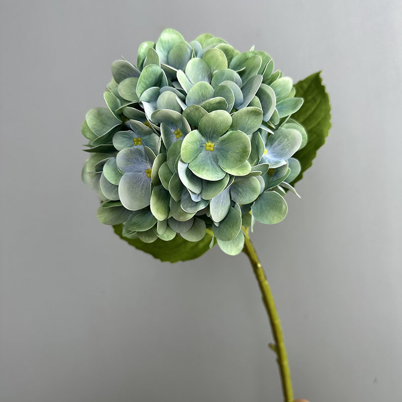 Blue Green