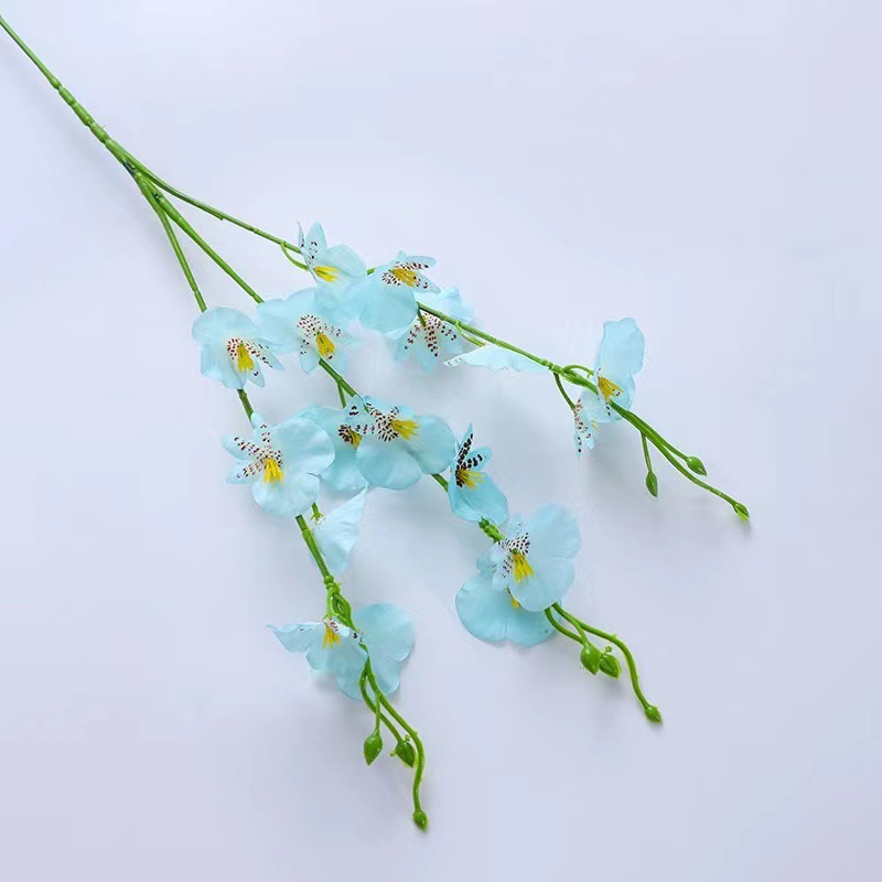 Orchidée dansante courte bleue