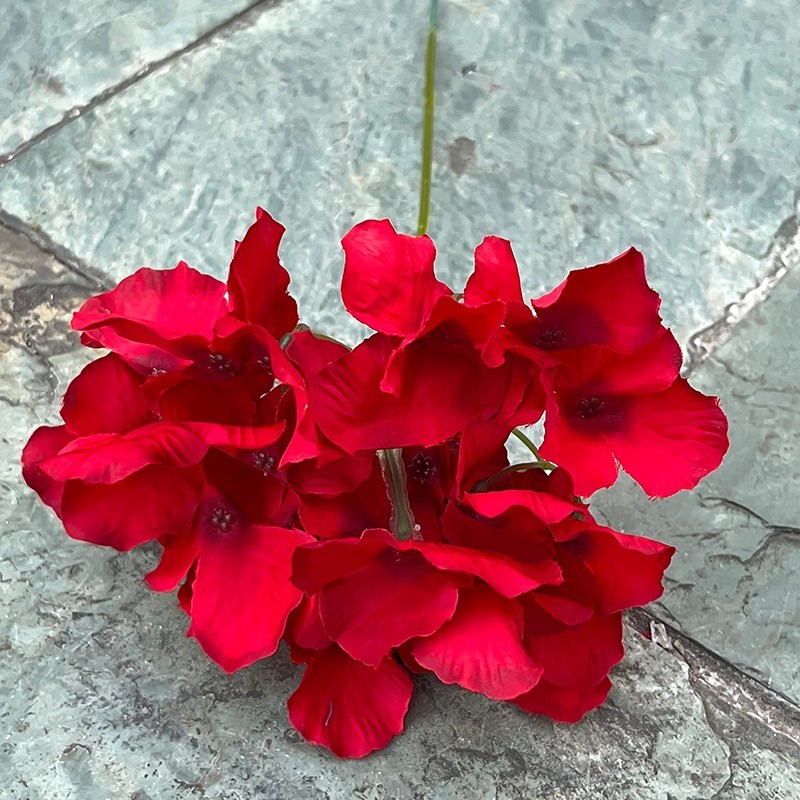15# Rouge, 29 hortensias à une tête rouge