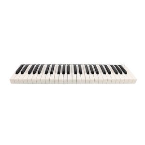 Teclado electrónico portátil Starway de 49 teclas con o sin instrumento de piano de órgano de fuerza con función de sostenimiento para clientes - Product Image 2