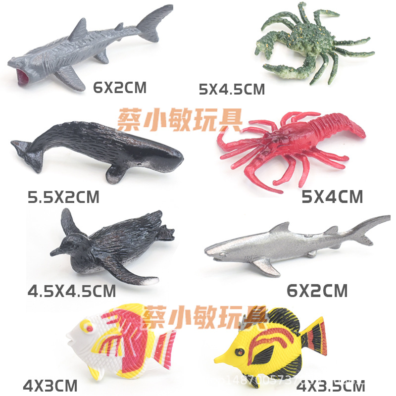 Ensembles Ocean C-8