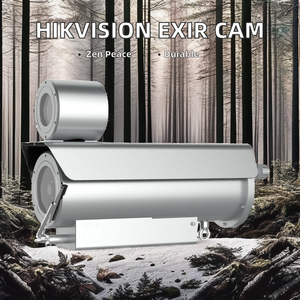 Cámara de red a prueba de explosiones Hik Hik-VISION EXIR 36x original (T5/316L) Sensor CMOS NVR almacenamiento de datos - Product Image 6