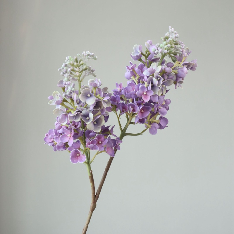 Viola-64 cm