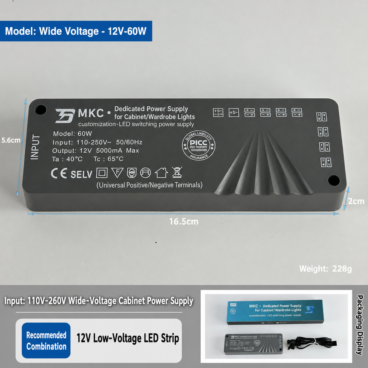 12V 60W