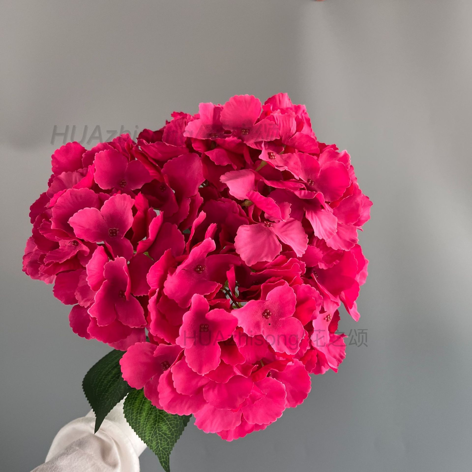 Rose red